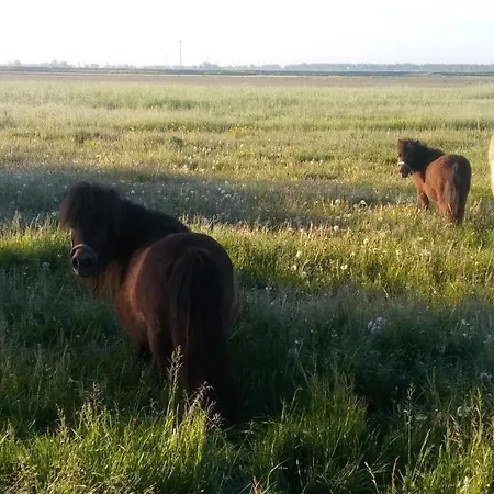 Boerenskuur De Bedstee Apartment Assendelft