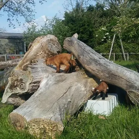 Boerenskuur De Bedstee *